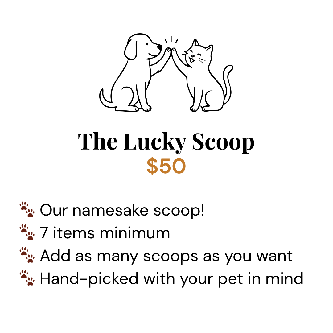 The Lucky Scoop