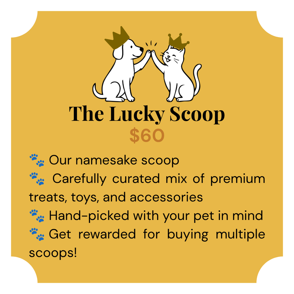 The Lucky Scoop