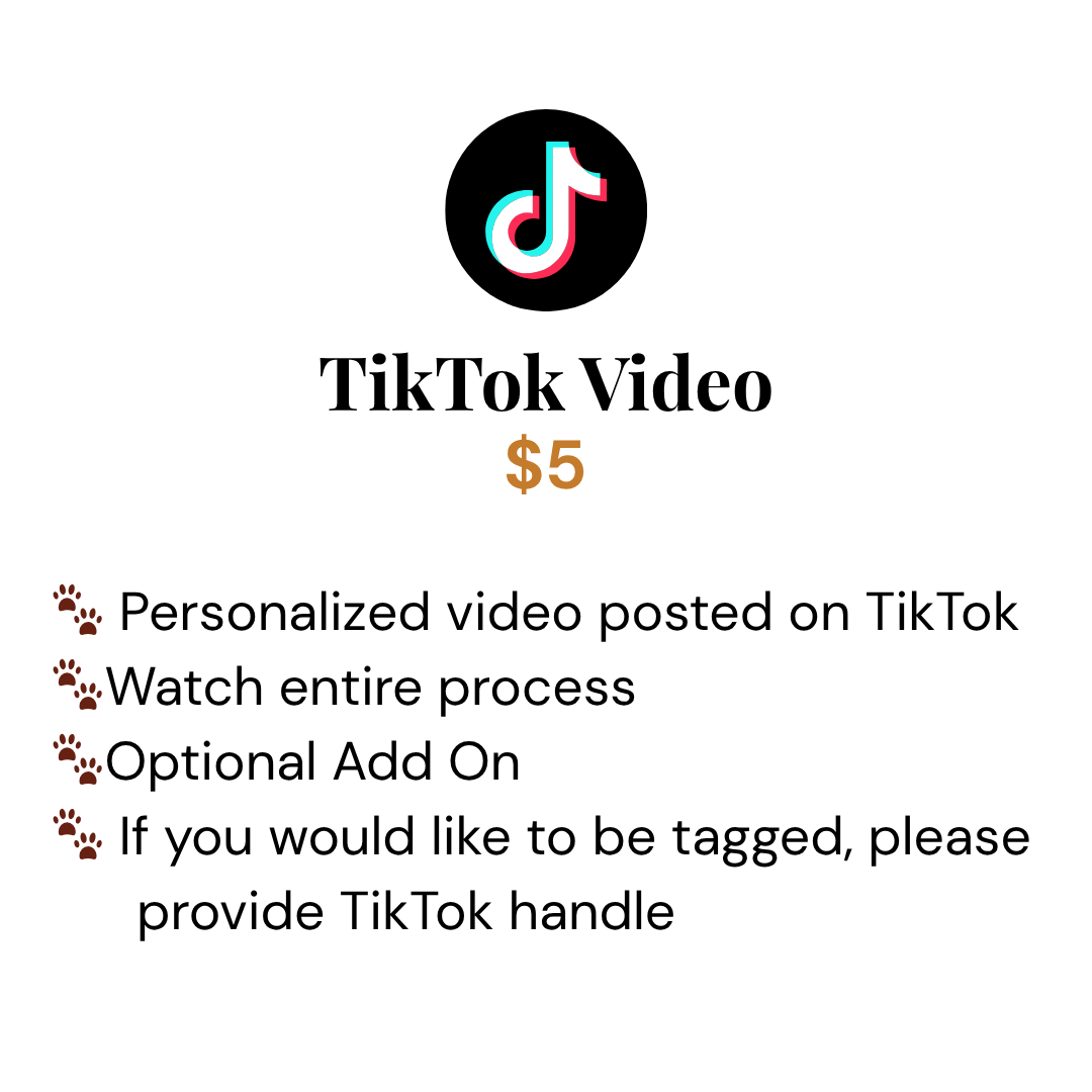 TikTok Video